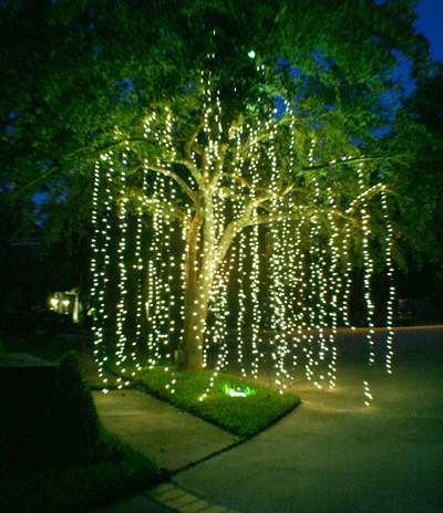 Outdoor string light ideas #12