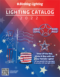 Birddog Lighting 2022 Catalog