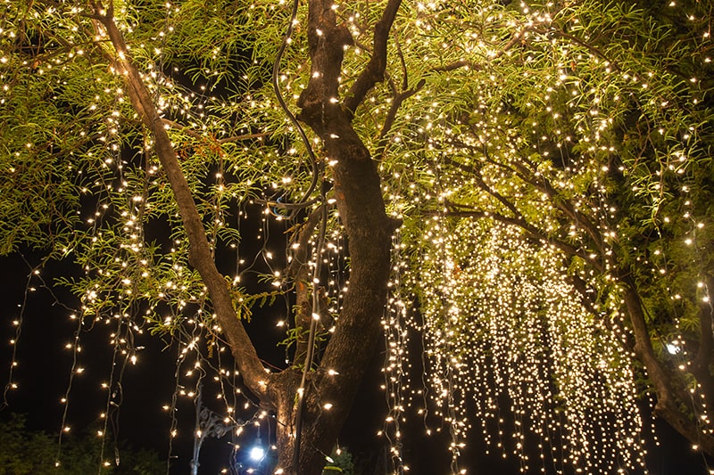 Outdoor Lighting for Weddings